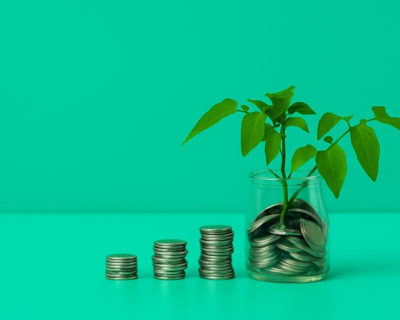 Fee Free Media Planning Slider